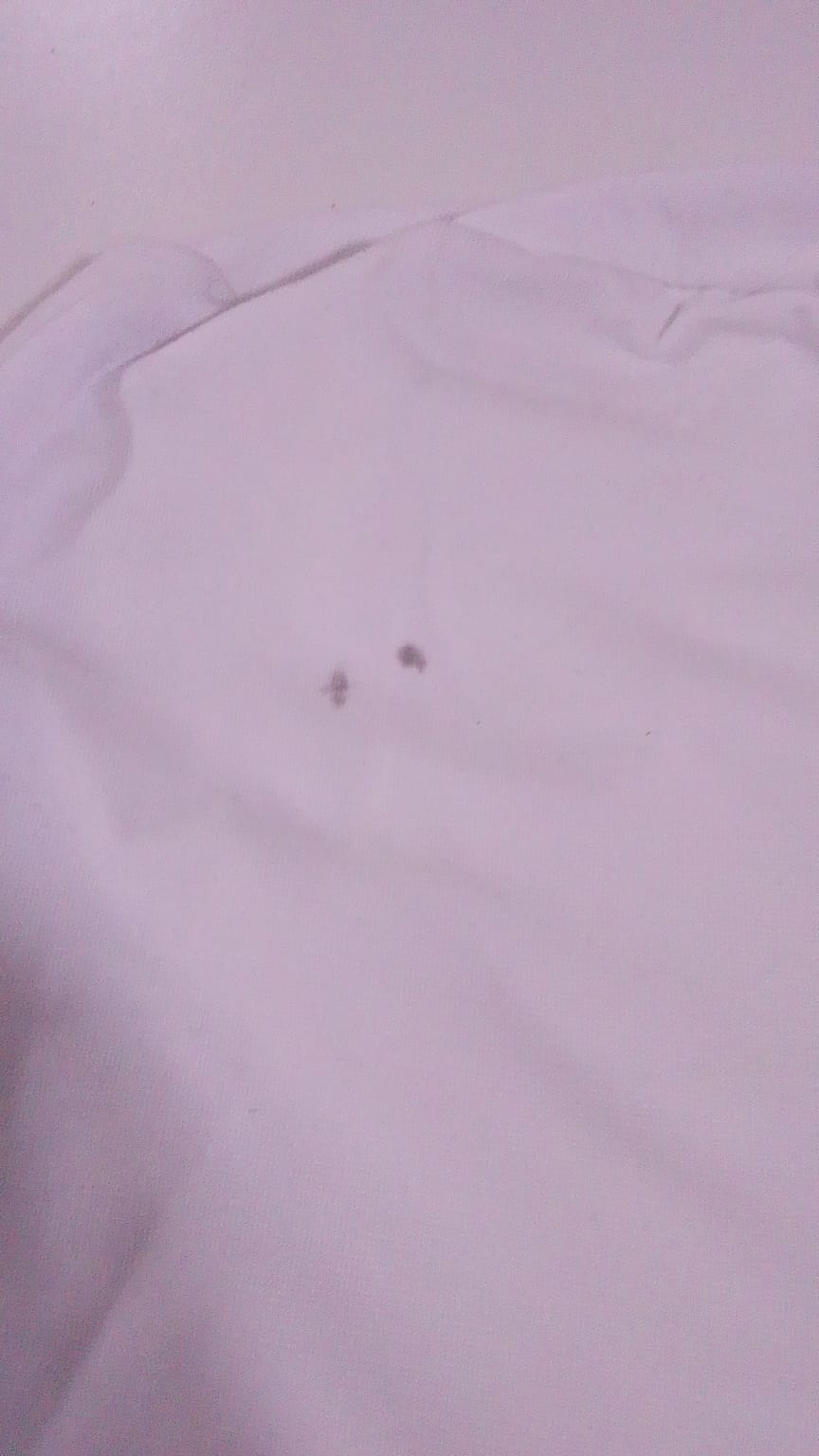 Bandana - White (Bc29)