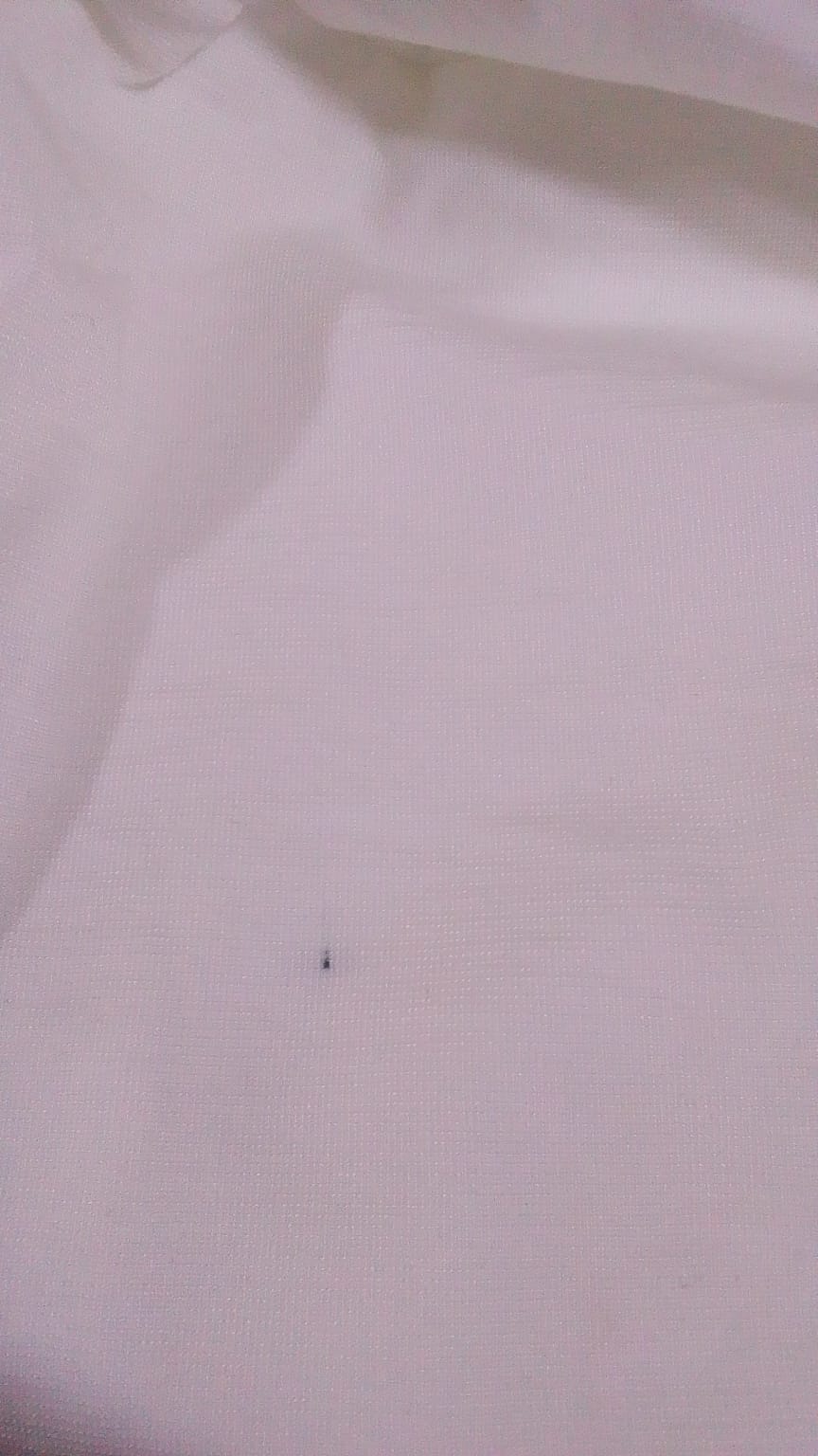 Bandana - Off White (Bc32)