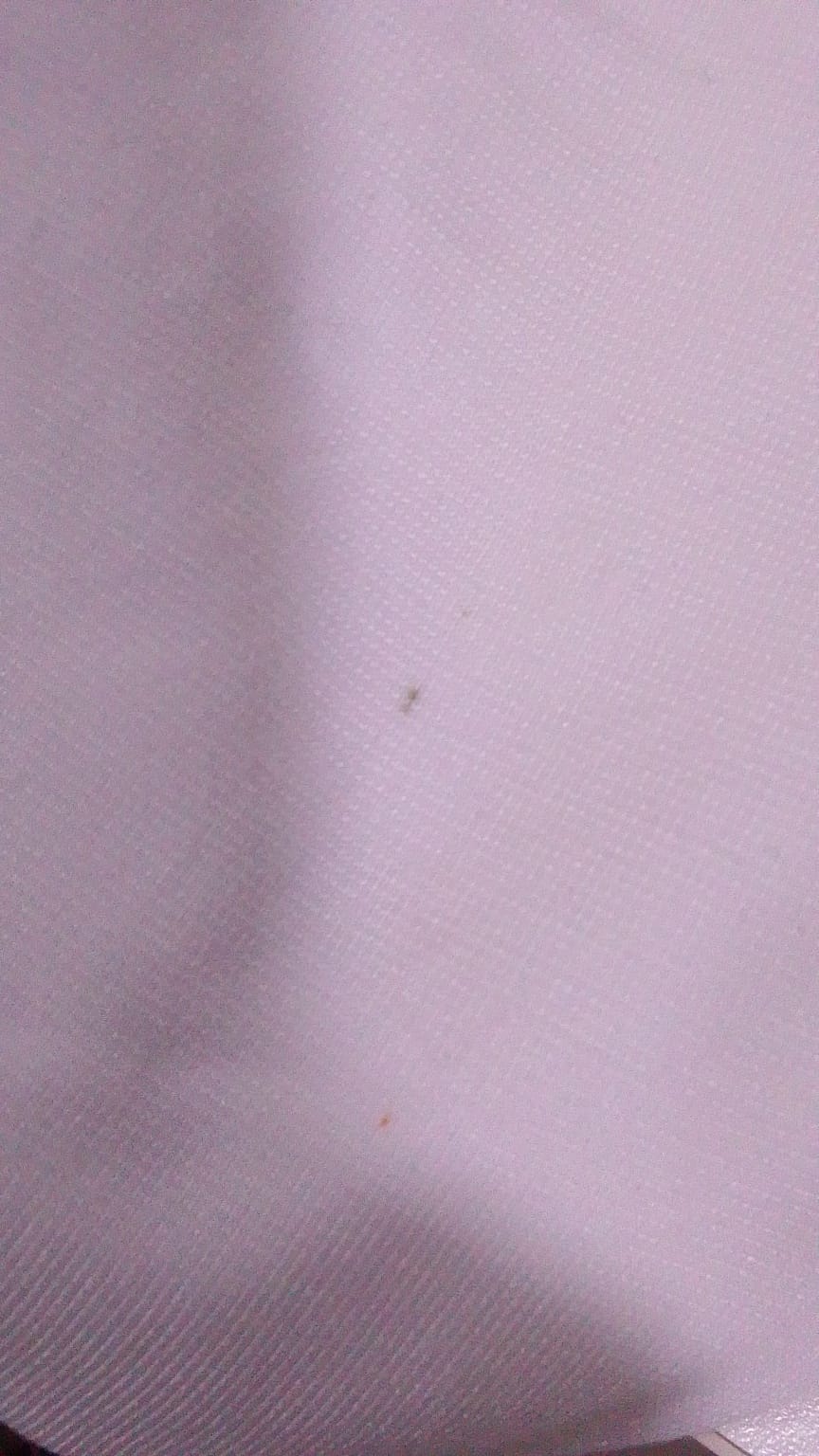 Bandana - White (Bc27)